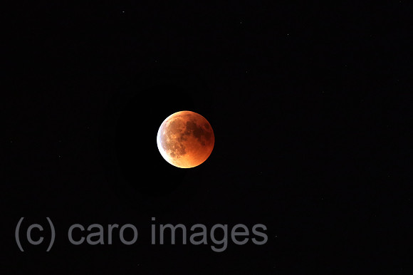 Berlin, Deutschland, Totale Mondfinsternis mit kupferrot gefaerbtem Vollmond, dem sogenannten Blutmond