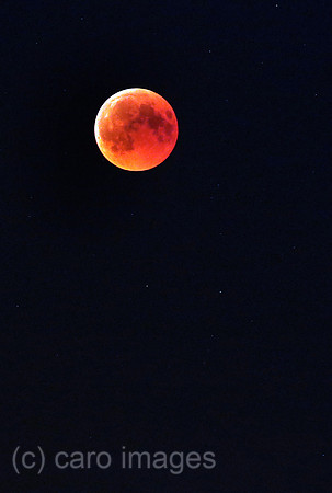 Berlin, Deutschland, Totale Mondfinsternis mit kupferrot gefaerbtem Vollmond, dem sogenannten Blutmond