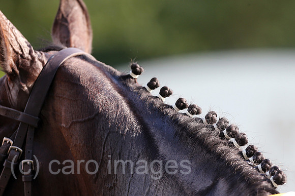 Royal Ascot, Grossbritannien, Maehne eines Pferdes ist eingeflochten