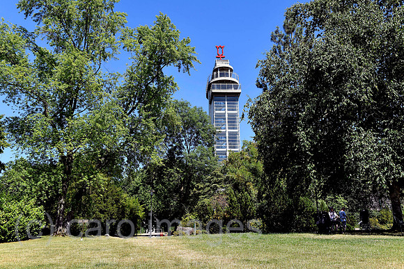 0RL190702D009CARO.JPG