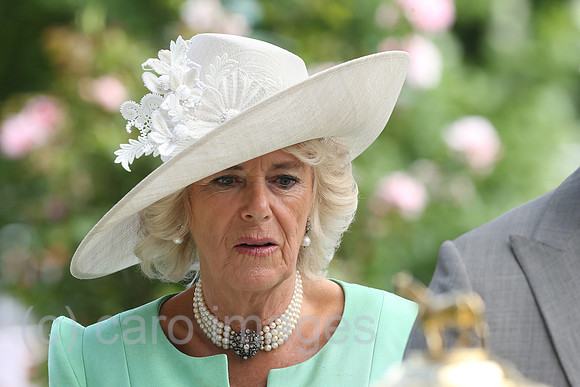 Royal Ascot, Portrait of the Duchess of Cornwall, Camilla Mountbatten-Windsor