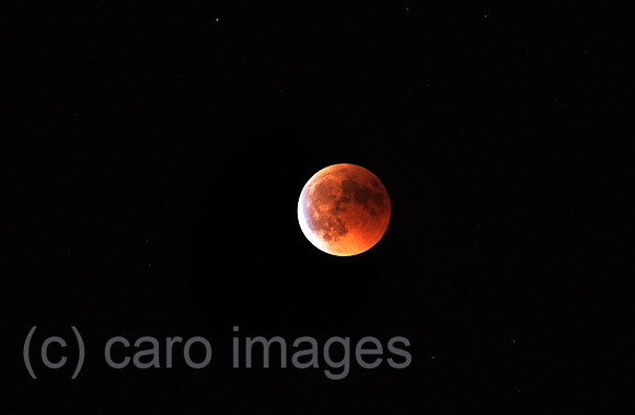 Berlin, Deutschland, Totale Mondfinsternis mit kupferrot gefaerbtem Vollmond, dem sogenannten Blutmond