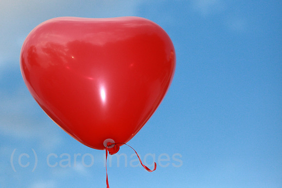 00S160820D039CARO.JPG