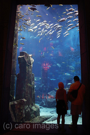 00S180330D022CARO.JPG