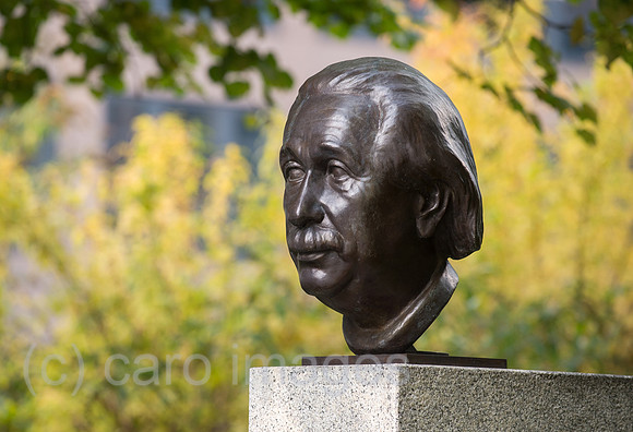 Bueste von Albert Einstein in der Strasse der Erinnerung in Berlin-Moabit