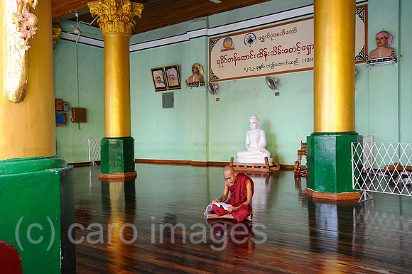 Yangon, Myanmar, Buddhistischer Moench liest im Tempelbereich der Shwedagon-Pagode