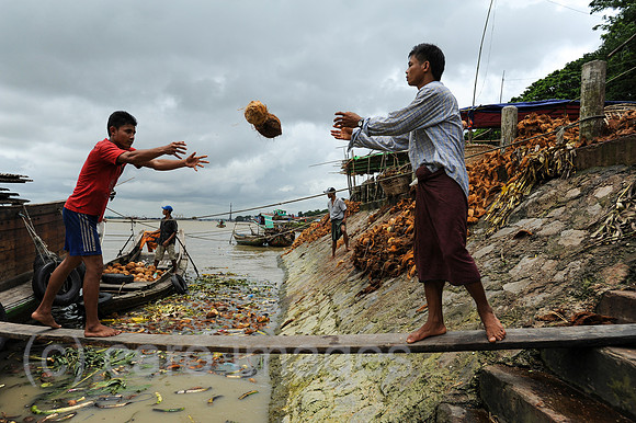 Yangon, Myanmar, Arbeiter entladen Kokosnuesse von einem Schiff