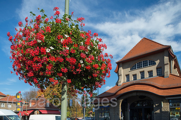 Blumenschmuck an einer Strassenlaterne