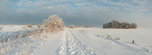 0PR101228D053CARO.JPG