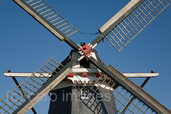 0PR110319D007CARO.JPG