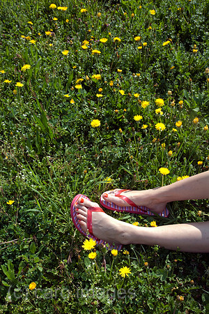 0RA070414D001CARO.JPG