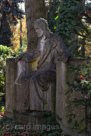 EJH131024D031CARO.JPG