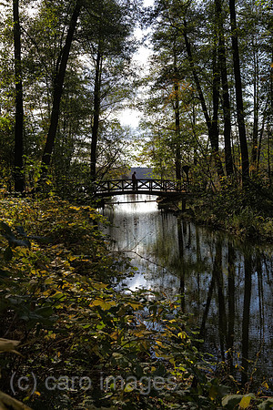 EJH131024D085CARO.JPG