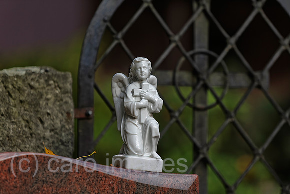 EJH131027D043CARO.JPG