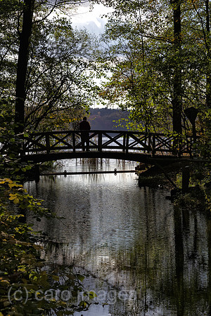 EJH131024D084CARO.JPG