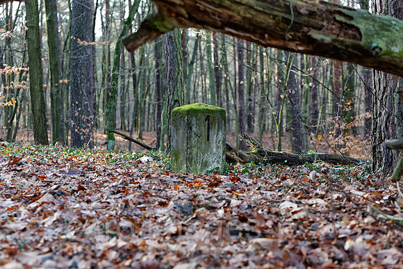 EJH140103D398CARO.JPG