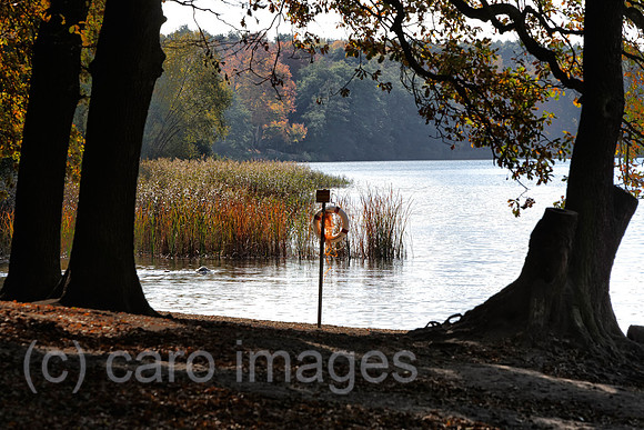 EJH131024D088CARO.JPG