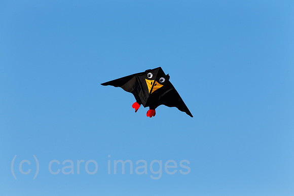 EJH131013D346CARO.JPG