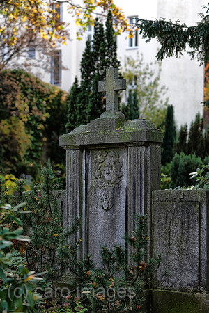 EJH131027D044CARO.JPG