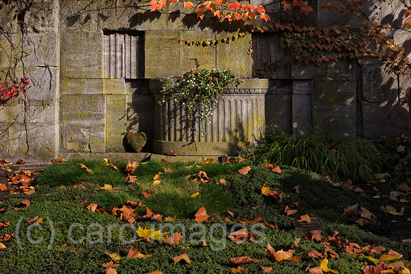 EJH131024D030CARO.JPG