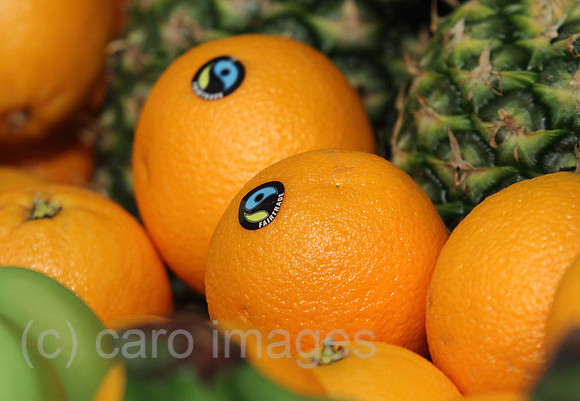 0MK130206D042CARO.JPG
