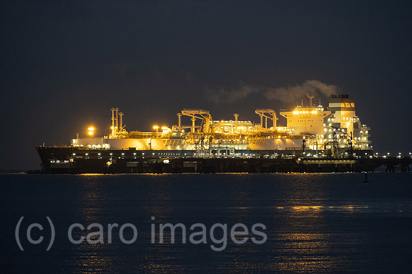 00A221215D144CAROEX.JPG
