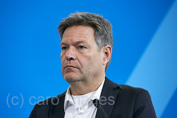 00R221130D152CAROEX.JPG