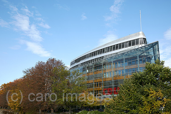 00R221010D085CAROEX.JPG
