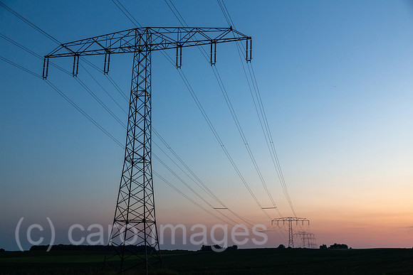 00A160603D281CAROEX.JPG