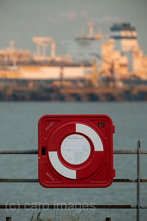 00A221215D062CAROEX.JPG