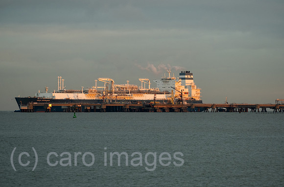 00A221215D067CAROEX.JPG