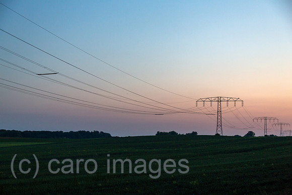00A160603D283CAROEX.JPG