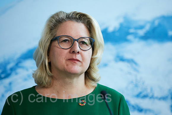 00R221020D007CAROEX.JPG