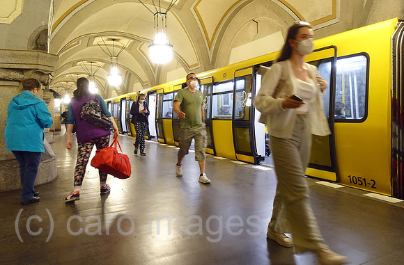00S220513D056CAROEX.JPG