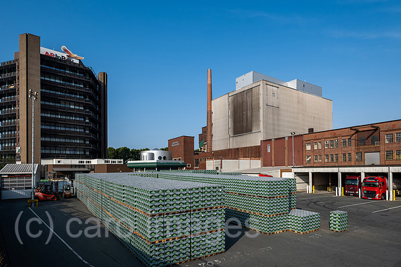00A210716D206CAROEX.JPG