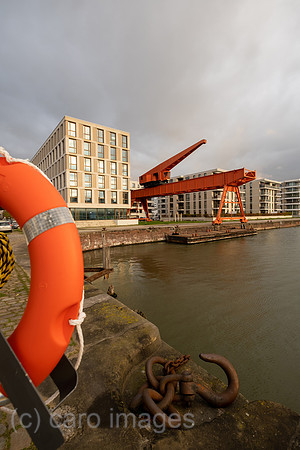 00A211104D342CAROEX.JPG