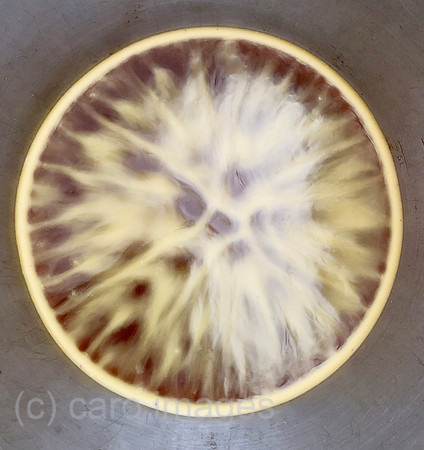00S220121D015CAROEX.JPG