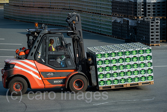 00A210716D217CAROEX.JPG