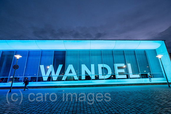 00A211104D385CAROEX.JPG