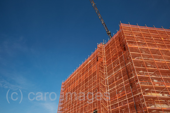00R221005D018CAROEX.JPG