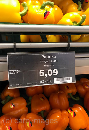 00S220523D085CAROEX.JPG
