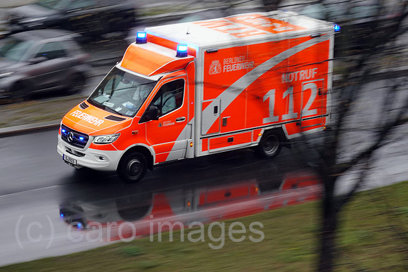 00S220414D022CAROEX.JPG