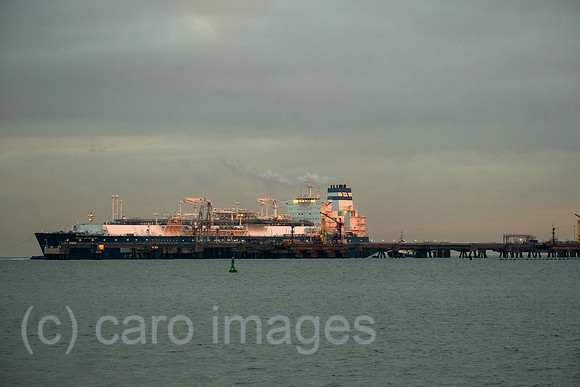 00A221215D087CAROEX.JPG