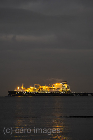 00A221215D126CAROEX.JPG