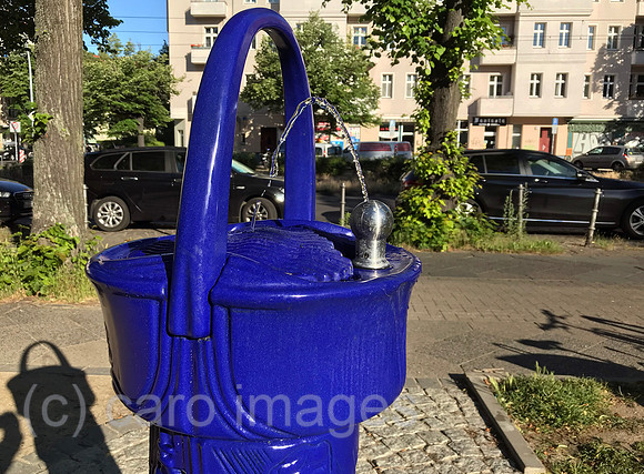 00S220603D208CAROEX.JPG