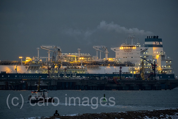 00A221215D109CAROEX.JPG