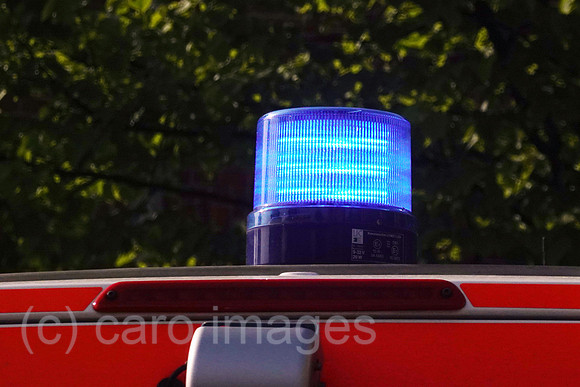 00S220518D063CAROEX.JPG