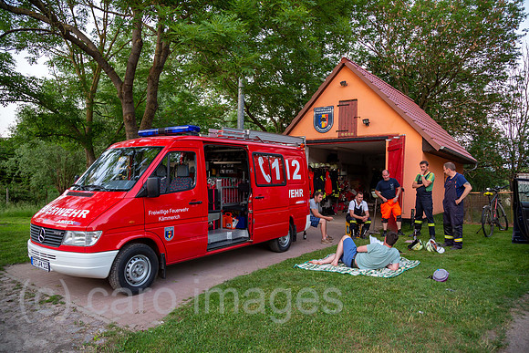 00A160603D254CAROEX.JPG