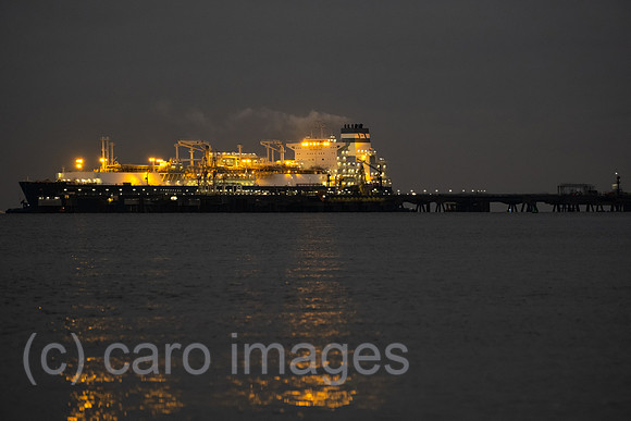 00A221215D121CAROEX.JPG