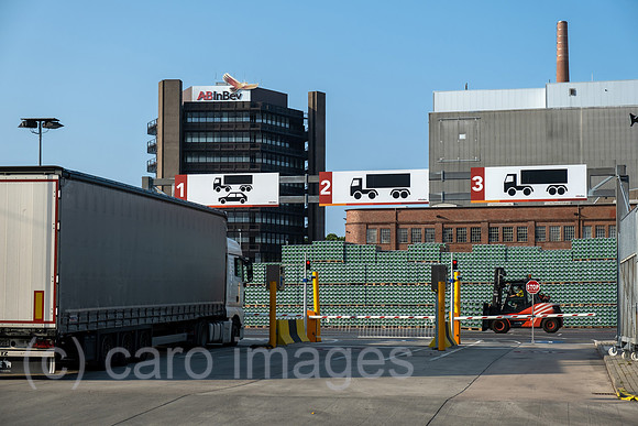 00A210716D270CAROEX.JPG